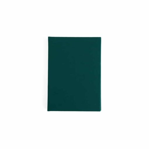 MINI AGENDA DIARIA EMBORRACHADA SPX-14927 NA COR VERDE