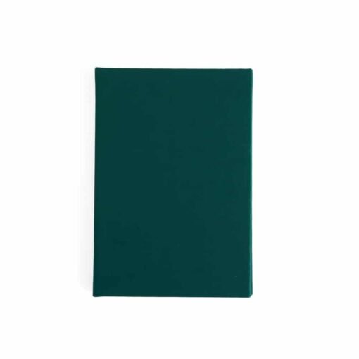 AGENDA DIARIA EMBORRACHADA SPX-14929 NA COR VERDE