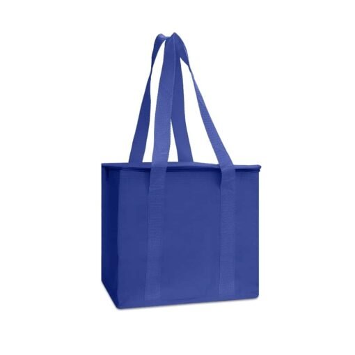 BOLSA TÉRMICA 12 LITROS SPX-P@02697 NA COR AZUL