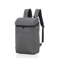 BOLSA TÉRMICA 17 LITROS SPX-14704-CIN NA COR CINZA