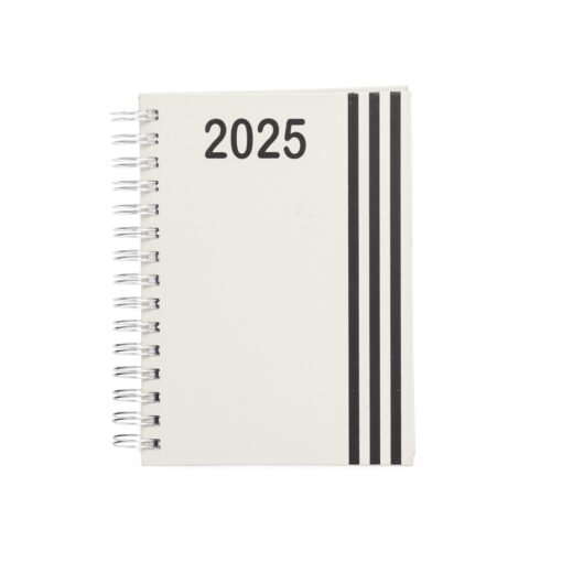 AGENDA DIARIA WIRE 2025-O SPX-14627 NA COR PRATA
