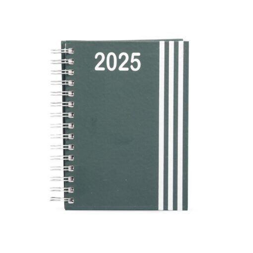 AGENDA DIARIA WIRE 2025-O SPX-14627 NA COR VERDE