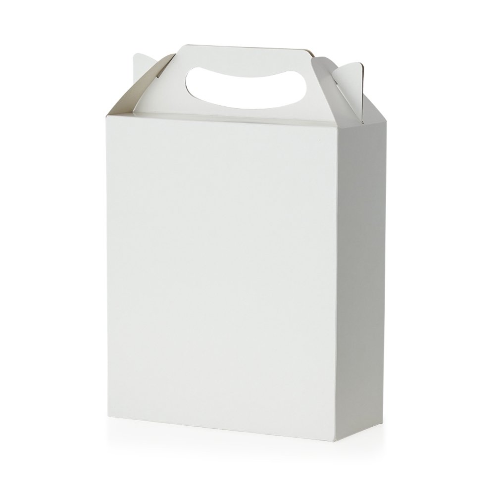 EMBALAGEM MALETA M SPX-14749-BCO NA COR BRANCO