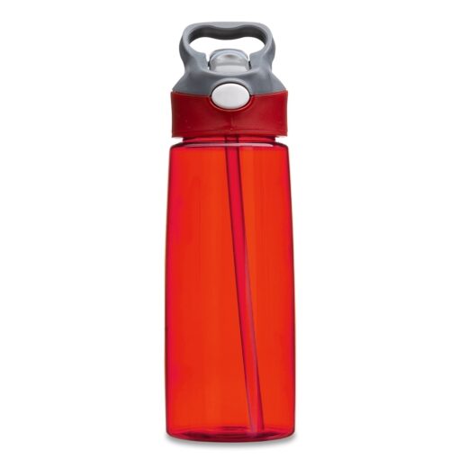 Squeeze Personalizado Plástico 650Ml - Vermelho/Cinza