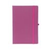 PLANNER CROMATO ANUAL SPX-15096-PNK NA COR ROSA