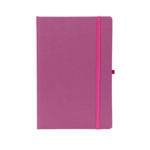 PLANNER CROMATO ANUAL SPX-15096 NA COR ROSA