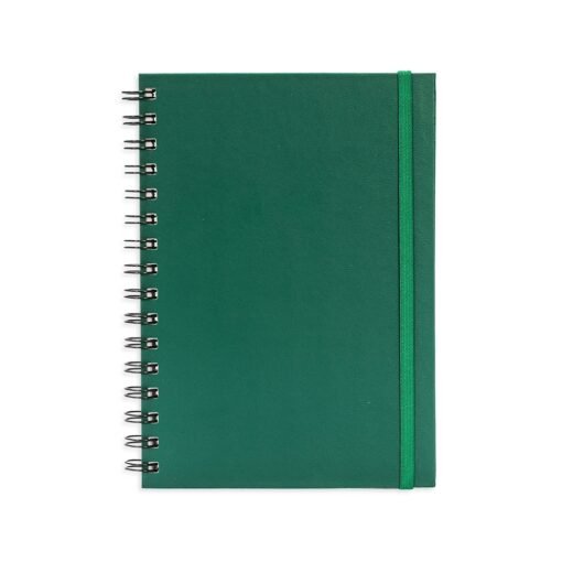 PLANNER CROMATO ANUAL SPX-15288 NA COR VERDE