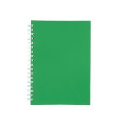 CADERNO CAPA FOSCA COM PAUTA SPX-15466F-VD NA COR VERDE