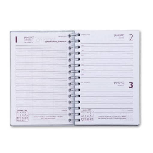 AGENDA DIÁRIA SPX-15494-PRA NA COR PRATA - Imagem 6