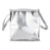 BOLSA TNT METALIZADO SPX-E@19241G-PRA NA COR PRATA