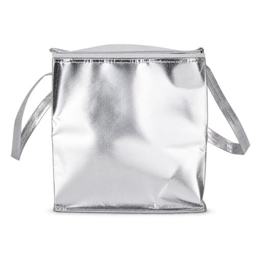 BOLSA TNT METALIZADO SPX-E@19241G-PRA NA COR PRATA