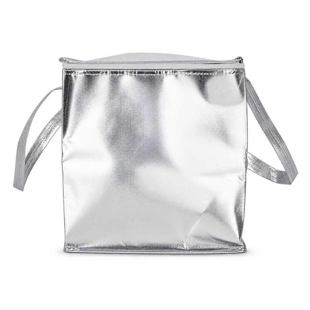 BOLSA TNT METALIZADO SPX-E@19241G-PRA NA COR PRATA