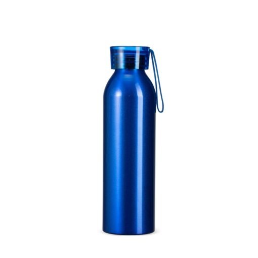 GARRAFA ALUMÍNIO 650ML SPX-09304-AZU NA COR AZUL