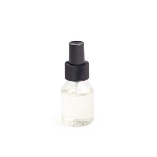 HOME SPRAY 60ML AVELÃ SPX-15105A-TRA NA COR TRANSPARENTE